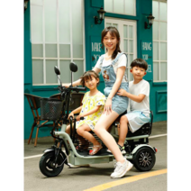 배달자전거 장거리 삼륜 전기자전거 접이식, 20A 리튬 배터리/50km 주행 48V