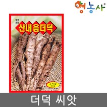 더덕씨앗 30g, 더덕씨앗(30g)