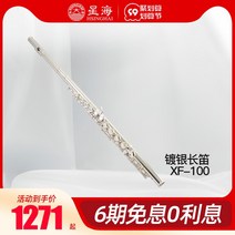 Xinghai 플루트 학생용 은도금 플루트 16 홀 c tune with e key xf-100 Xinghai piccolo xp-100c tune, xf-100 16홀 플루트