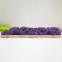 [바보사랑] 편백 스칸디아모스 포인트벽지 - 손쉬운 블럭형 DIY 중, 색상선택:모스그린