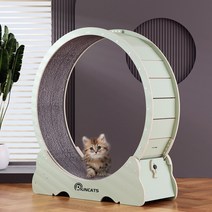 Runcats런캐츠 캣휠 캣타워 캣워크 런닝머신 스크래쳐 고양이 실내 운동훈련 헬스기구 다양한 색상 사이즈 건강항생활을위한 최고의 고양이 선물, 아보카도 그린, S