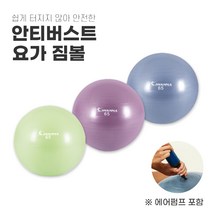 안티버스트 짐볼 65cm 요가용짐볼 필라테스볼 요가볼 요가짐볼 공기주입기, 요가짐볼 65cm / 라일락 퍼플