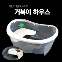 거북이하우스, 1개