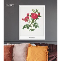 아이엠스톡 인테리어 액자 ﻿Rosa centifolia3 장미 013 캔버스액자, 캔버스(테두리 없음)