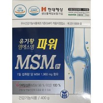유기황 엠에스엠 파워 MSM 400g