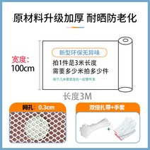 펜스 그물망 발코니 안전망 도난 방지 낙하 창 창문 고양이 네트, 0.3cm 구멍 - 너비 1m - 길이 3m