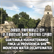 (커피생두) 47 과테말라 우에우에테낭고 핀카 라 프로비덴시아 SHB 마운틴워터 디카페인 1kg