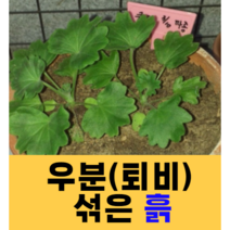 우분 섞은 흙/자연흙/우분흙/분갈이흙/제라늄흙/밭흙/텃밭흙/농사흙/채소흙/이레팜, 20리터