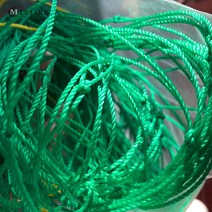 수세미거치대 플라스틱 그물 나일론 수세미 1 개 10x10cm 나팔꽃 덩굴 꽃 식물 등반 오이 재배 홀더, [01] 180x180cm (Nylon)