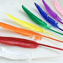 [대원] 거위깃털 새깃털 대 250~300mm 10색상 2개입, 검정