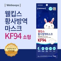 웰킵스 미세먼지 마스크 KF80 KF94 대형 소형 초소형 25매입 30매입, KF94 소형 30매