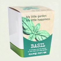 MDG9708 허브바질 미니화분 꽃 화분 홈가드닝 식물키우기 (원예/씨앗/미니화분/인테리어)