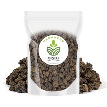 오허브 국내산 개다래 열매 목천료 개다래충영 250g, 상세페이지참조