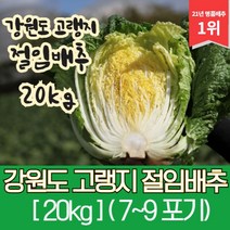 강원도 고랭지 절임배추 20kg, 09월 20일 (수요일)
