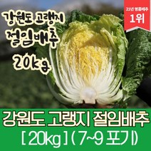 절임배추강원도 인기 순위비교