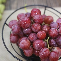 팜스데일리 레드글로브 1.3kg 아삭한 과육 달콤한 과즙가득 적포도