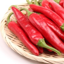 홍고추 1kg 팔팔마켓 빨간고추 물고추 판매, kg