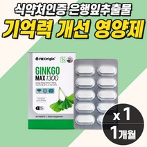 기억력 저하 보조제 손 발 다리 저림 혈액순환제 은행잎추출물 징코 부모님 선물 뇌 기능 건강 개선제 영양제 50대 건강식품 60대 남자 80대 여성 노인 실버 시니어 실버