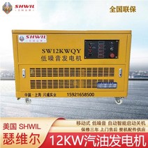 12kw 가솔린 발전기 저소음 American Serwell Machinery 브랜드 모바일, 정기적인