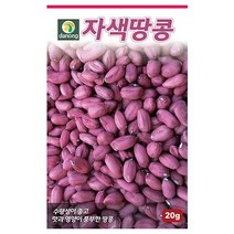 자색땅콩씨앗 20g 땅콩씨 곡류 씨앗 종자 다농 식물나라스토어 사은품약수저