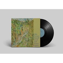 Good And Green Again LP 음반 바이닐 레코드 앨범