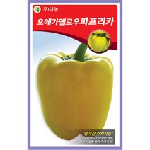 더존 복수박 씨앗 10립 - 수박씨 복수박씨 꿀수박 야채씨앗 채소씨앗 채소재배 종묘 종자 베란다 텃밭 씨 씨앗 오이 호박 방울토마토 참, 23_다농_오메가 옐로우파프리카(10립)