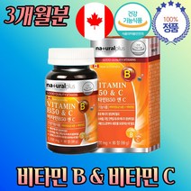 대용량 캐나다 비타민 B 군 음식 역할 추천 3개월 비군 컴플렉스 콤플렉스 종합 공부 야근 업무 피로 피곤 할 때 활성 바이타민 가성비 좋은 영양제