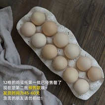 세라믹 계란 트레이 악세사리 보관 저장 냉장고 에그홀더