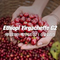 감탄커피 1kg 에티오피아 예가체프G2 원두커피 싱글오리진 HACCP 당일로스팅 햇생두 뉴크롭, 홀빈 분쇄안함