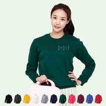 TDT197D1 단체 기모 맨투맨티셔츠 제작(1곳인쇄무료)