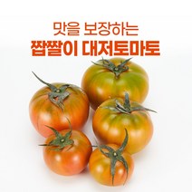 대저 짭짤이 토마토 2.5kg 짭짜리 보관 농협 요리, 짭짤이토마토 A등급 S 소과 2.5kg