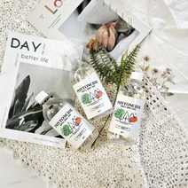 권뱅편백 탈취제 냄새 제거 청정 피톤치드 100%, 2통, 500ml