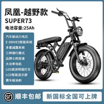 전기자전거 Phoenix SD1 20인치 오프로드 레트로 빈티지 산악자전거 전동자토바이, G 25ah, 48V