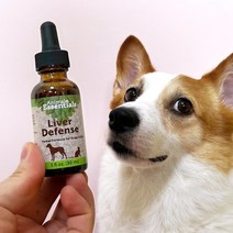 애니멀에센셜 간팅크 강아지 고양이 실리마린 밀크시슬 간 영양제 간수치 개선 30ml