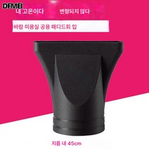 미용실 이발소 전문 헤어드라이기 범용 송풍기 라지 고온내성 나일론 스트레이트 헤어 집풍 노즐 내 45mm, 보여진 바와 같이, 하나