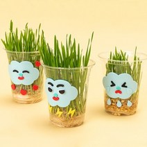 EVA밀싹키우기_5개세트 장난감 어린이 생일 선물 아동 애기 아이들 놀이감 놀잇감