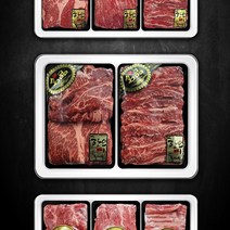 1++등급 한우 선물세트 2구 3구 800g/1.2kg 이바지 명절 설 추석 선물, 한우 2구세트(800g), 바로배송 (오후3시이전당일출고)