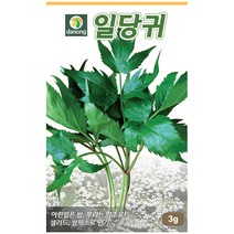 다농 쇠무릎 1g - 씨 씨앗 쇠무릎씨앗 쇠무릎씨 우슬초 산형채 대절채 쇠물팍 은실 백배 마청초 나물씨앗 민속채소 채소씨 채소씨앗, 10_다농_일당귀(3g)