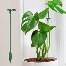 오링지지대 식물 화분 화초 몬스테라 지주대 수형잡기, 오링지지대 37cm(대) 5개