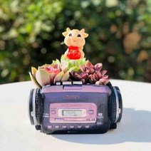 동물 소형 모양 홈 리톱스 독특한 라디오 화분 가드닝 인테리어 트리옵스 듀가르손 사무실, 중간 정도, 기타, 청록색 행복하기까지