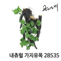 내츄럴 가지유목 28535