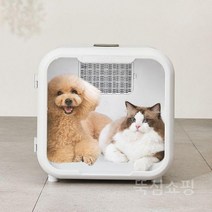 펫드라이룸 반려동물 털말리기 헤어드라이어