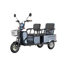 독일 전기 삼륜차 충전식 전동차 스쿠터 3륜 전동 소형 삼발이 바이크, 72V 이상, AA