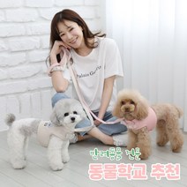리토가토 러비 커스텀 캐릭터 강아지 하네스 + 리드줄 세트 5종 (컴퓨터 자수) 동물학교 추천, 블루