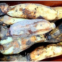 햇 연근 흙연근 통연근(특품) 국내산 2kg 5kg 10kg, 연근5kg