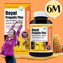 프로폴리스아연c비염 프로폴리스 로얄 엔트리 950mg x 180캡슐