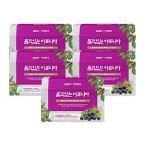 GNM자연의품격 품격있는 아로니아즙, 150개입, 70ml