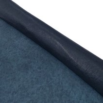 예카레더 워싱세미베지터블 염소한마리 온타리오, 네이비