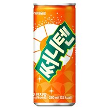 해태-써니텐오렌지맛250ml(30캔) x2, 60개, 250ml