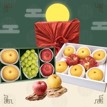 프레시잉 명절 설 추석 혼합 과일선물세트, 10. 사과 5과 배 4과 선물세트